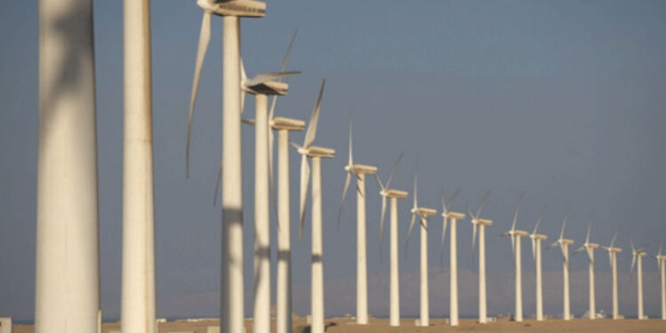 مصر تفتح أبوابها لاستثمارات القطاع الخاص في مشروعات طاقة الرياح