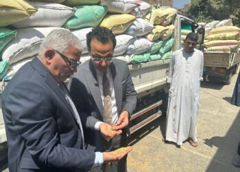 وزير التموين : توريد 900 الف طن قمح محلي حتي الآن