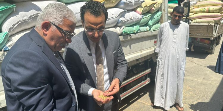 وزير التموين : توريد 900 الف طن قمح محلي حتي الآن