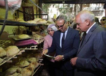 حماية المستهلك يشن حملات لضبط الأسواق بمحافظة الجيزة