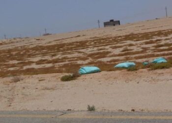 أديب عن سفاح التجمع: “قصة شبه الأفلام الأمريكاني”