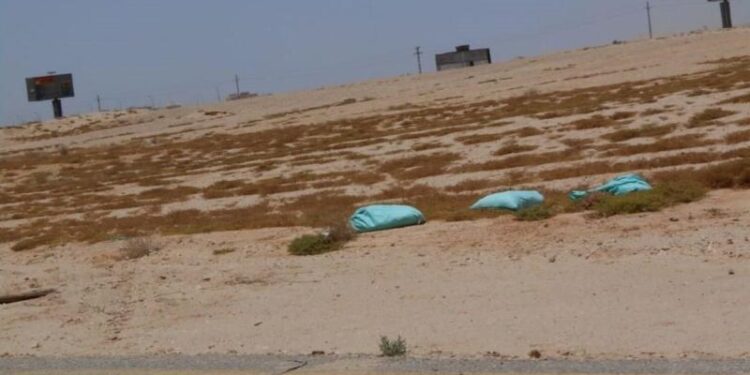 أديب عن سفاح التجمع: “قصة شبه الأفلام الأمريكاني”