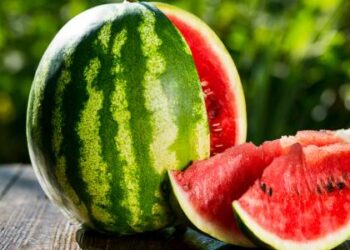 عاجل.. نقيب الفلاحين يفجر مفاجأة بشأن أسعار البطيخ خلال الفترة المقبلة