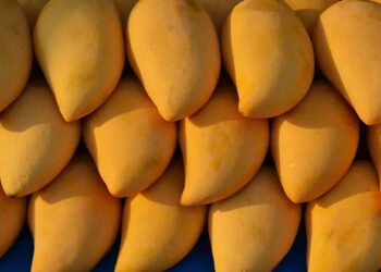 المانجو بـ 18.. أسعار الخضار والفاكهة اليوم الأربعاء