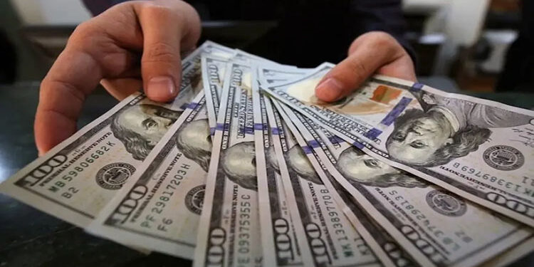 أسعار الدولار في مصر أسعار الدولار في مصر اليوم الأحد