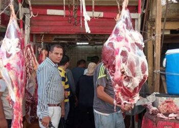 أسعار اللحوم الحمراء في محال الجزارة الثلاثاء