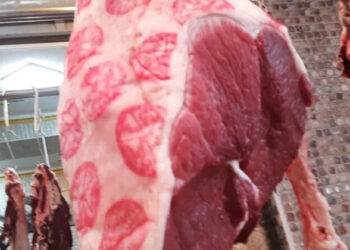 ننشر أسعار اللحوم الحمراء في محال الجزارة الخميس