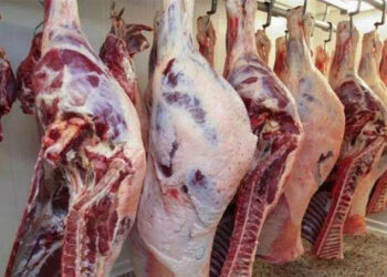 أسعار اللحوم الحمراء في الأسواق والمنافذ الحكومية الأحد