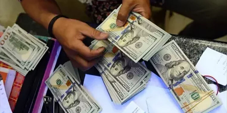 تحويلات المصريين