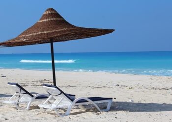 حسام الشاعر: نحتاج 60 ألف غرفة فندقية في الساحل الشمالي لجذب 10 ملايين سائح