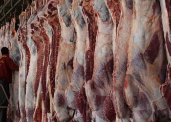أسعار اللحوم الحمراء في الأسواق والمنافذ الحكومية اليوم