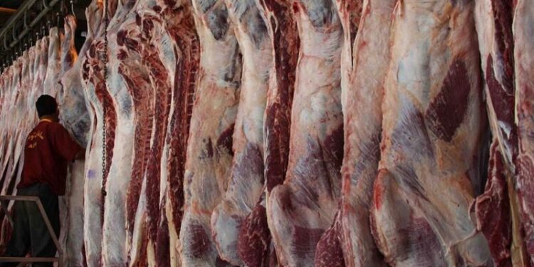 أسعار اللحوم الحمراء في الأسواق والمنافذ الحكومية اليوم