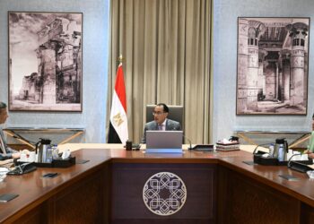 وزير الزراعة: الصادرات الزراعية بالنصف الأول من 2024 وصلت لـ4.9 مليون طن