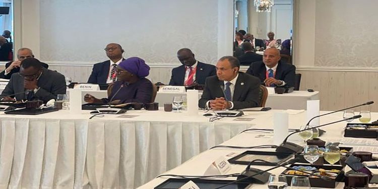 وزير الخارجية والهجرة وشئون المصريين بالخارج يشارك في أولى فعاليات التيكاد