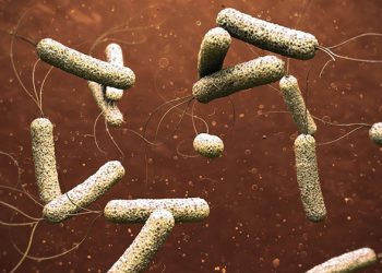 حقيقة ظهور حالات إصابة بوباء “الكوليرا” في عدد من محافظات الجمهورية