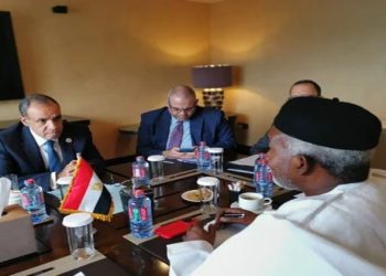 وزير الخارجية ونظيره النيجيرى يشيدان بالعلاقات القوية التى تربط بين البلدين