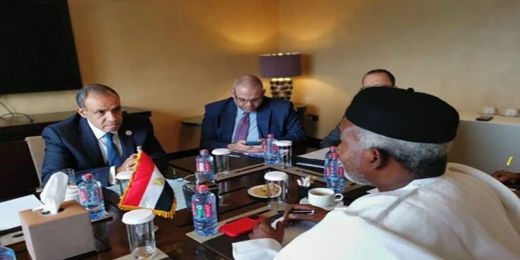 وزير الخارجية ونظيره النيجيرى يشيدان بالعلاقات القوية التى تربط بين البلدين