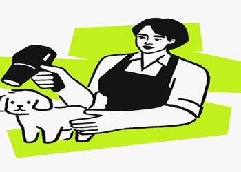 بعد عامين في مصر .. اندرايف خدمات تقدم خدماتها لأكثر من 100 ألف مستخدم