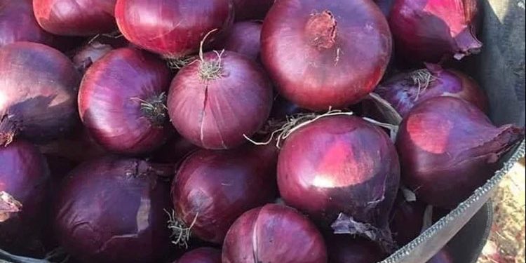 أسعار البصل تتراجع مجددا والطماطم والبطاطس يستقران