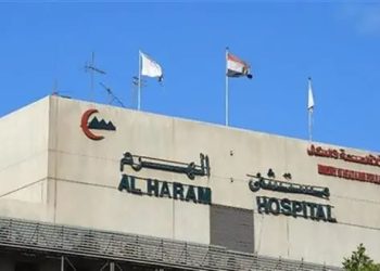 الصحة تعلن حصول مستشفى الهرم على الجائزة البلاتينية لمنظمة السكتة الدماغية العالمية