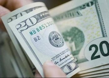 استقرار سعر الدولار مقابل الجنيه المصري اليوم الجمعة 16-8-2024