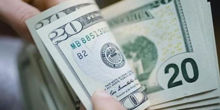 استقرار سعر الدولار مقابل الجنيه المصري اليوم الجمعة 16-8-2024