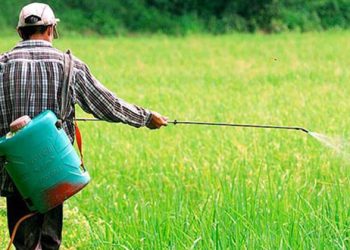 “الزراعة” تطلق حملة مكبرة لدعم المزارعين في مكافحة آفات المحاصيل الزراعية