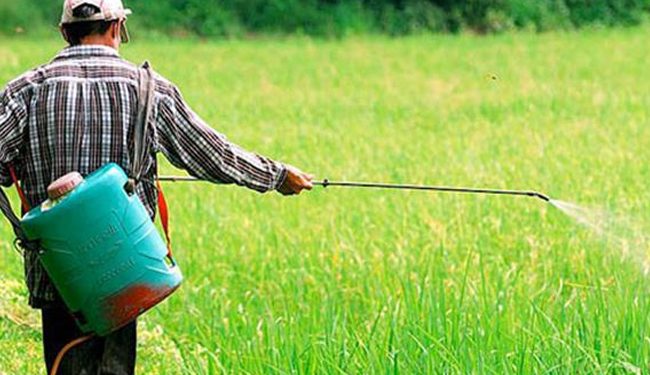 “الزراعة” تطلق حملة مكبرة لدعم المزارعين في مكافحة آفات المحاصيل الزراعية