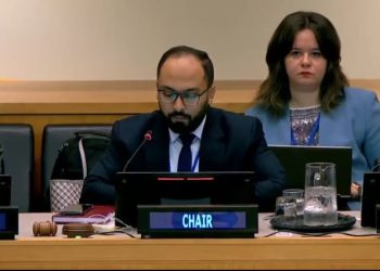 رامي يوسف-المالية