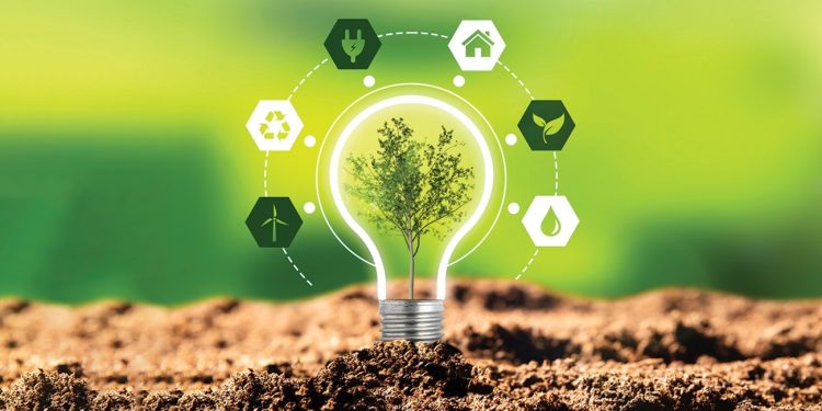 مصر ضمن أفضل 10 دول أفريقية في مجال الاستدامة البيئية لعام 2024