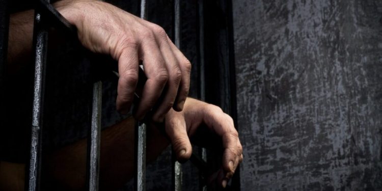 متحدث الحكومة: ملف الحبس الاحتياطي تصدر أجندة اجتماع الحكومة