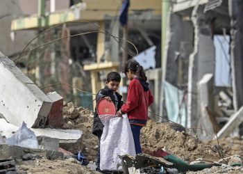 البيت الأبيض: المؤشرات الأولية تؤكد أن المحادثات بشأن غزة فى القاهرة بناءة