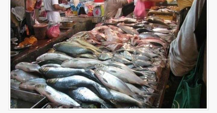 أسعار الأسماك والمأكولات البحرية اليوم الخميس 22-8-2024