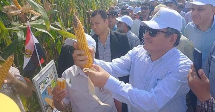 البحوث الزراعية ينظم يوم الحقل السنوي لمحصول الذرة الشامية والأرز بسخا