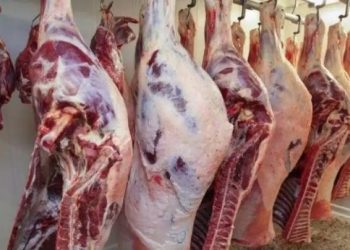 أسعار اللحوم البلدي فى الأسواق اليوم الاثنين 26 أغسطس 2024