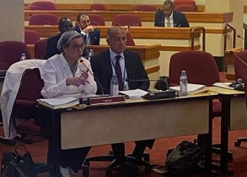 وزيرة البيئة تشارك في اجتماع مجلس إدارة المبادرة الأفريقية للطاقة المتجددة