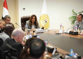 وزيرة التنمية المحلية تتابع مع المدير الاقليمي للبنك الدولي مستجدات برنامج تنمية الصعيد