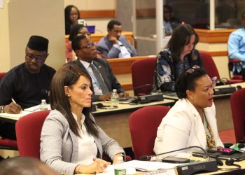 وزيرة التخطيط تُشارك في حوار البعثة الدائمة للاتحاد الأفريقي في نيويورك