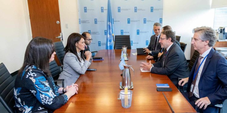 «المشاط» تبحث مع UNDP آليات تحديد الفجوات التنموية