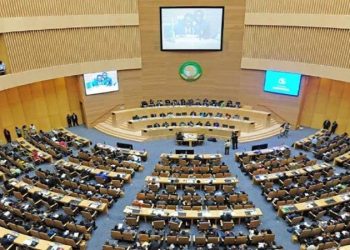 مصر تتولى رئاسة مجلس السلم والأمن الأفريقي خلال شهر أكتوبر 2024