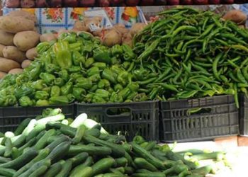 اسعار الخضار والفاكهة في مصر اليوم السبت