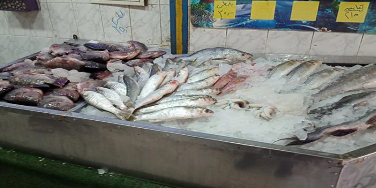 اسعار الاسماك اليوم بالسوق المصرى