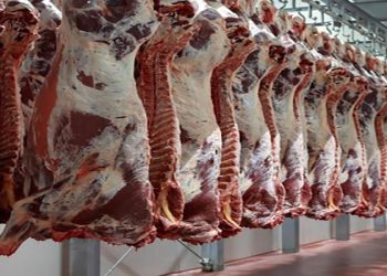 أسعار اللحوم فى الأسواق اليوم الاثنين تسجل استقرار ملحوظ