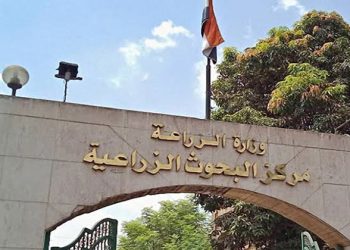 “البحوث الزراعية” و”الإرشاد الزراعي” يتوسعان في الخدمات الإرشادية بالأراضى الجديدة