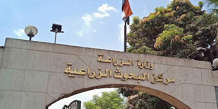 “البحوث الزراعية” و”الإرشاد الزراعي” يتوسعان في الخدمات الإرشادية بالأراضى الجديدة