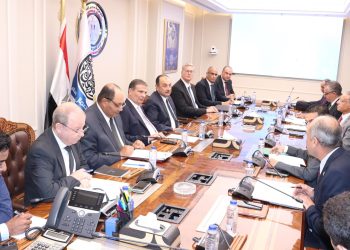 وزير قطاع العام يبحث مع وزيري الزراعة والبترول سبل تشجيع صناعة الأسمدة والتوسع فيها وزيادة الإنتاج والصادرات