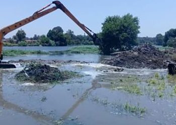 الموجة 23 .. إزالة 377 حالة تعدى حتى الأن على نهر النيل