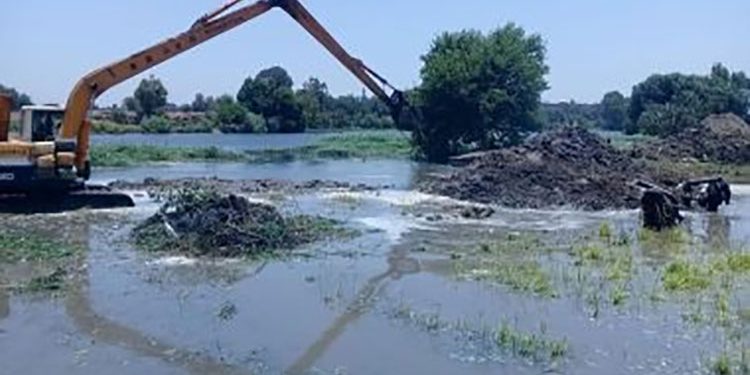 الموجة 23 .. إزالة 377 حالة تعدى حتى الأن على نهر النيل