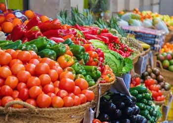 اسعار الخضار والفاكهة في مصر اليوم الاثنين