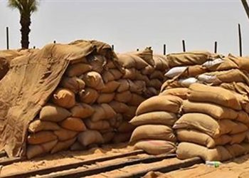 التموين تعلن ارتفاع مخزون احتياطي القمح الاستراتيجي بالصوامع